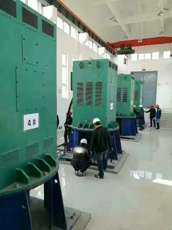 惠东某污水处理厂使用我厂的立式高压电机安装现场