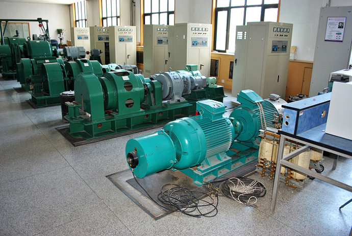 惠东某热电厂使用我厂的YKK高压电机提供动力